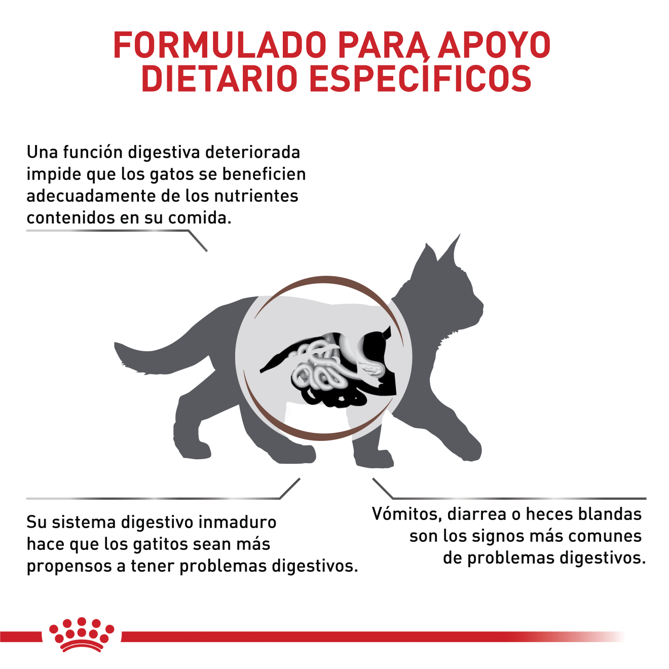 Gastrointestinal Kitten | Royal Canin CO