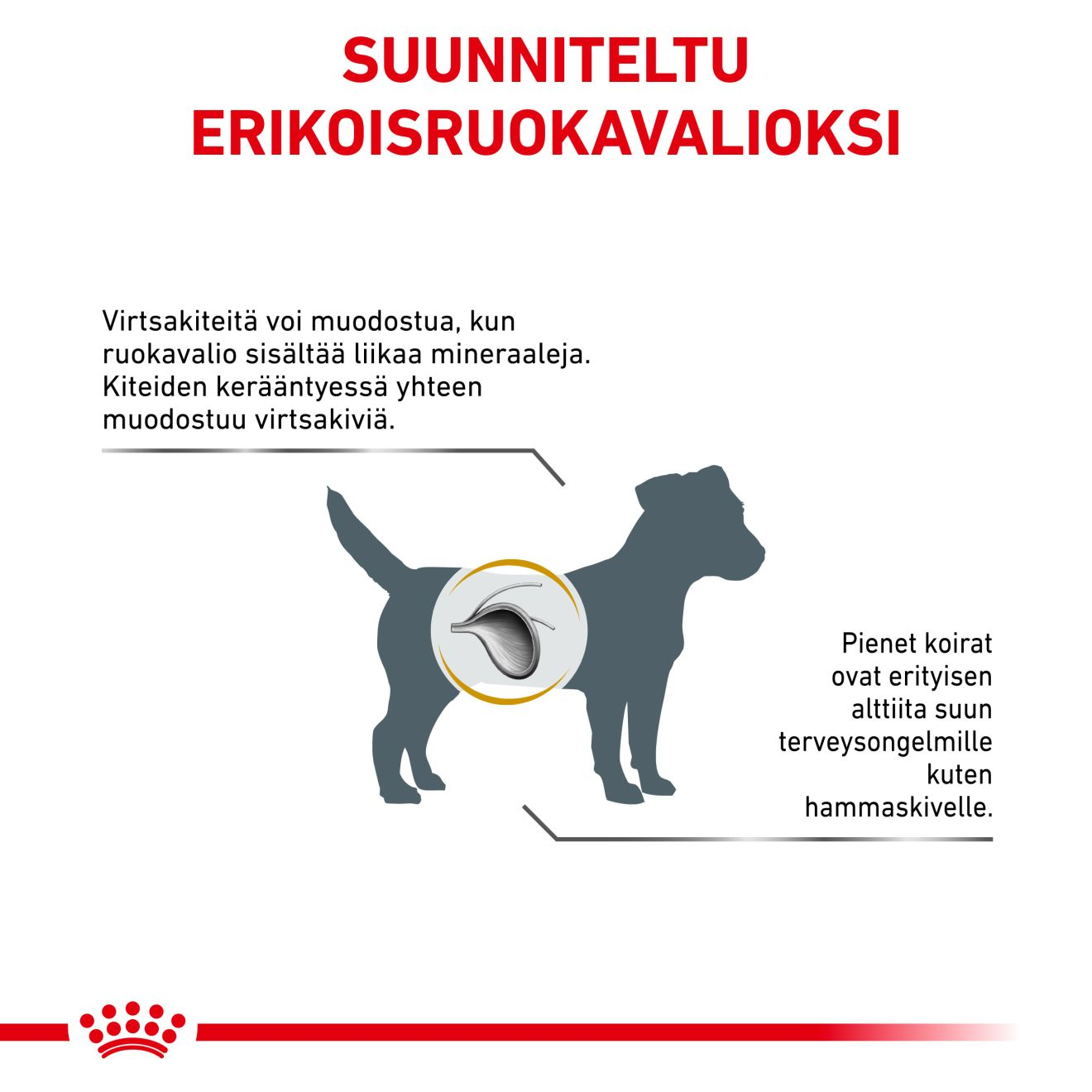 Urinary S/O Small Dog