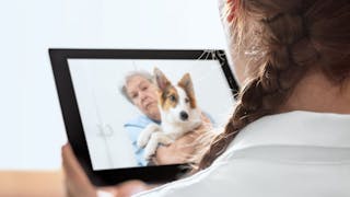 COVID-19: the telemedicine solution