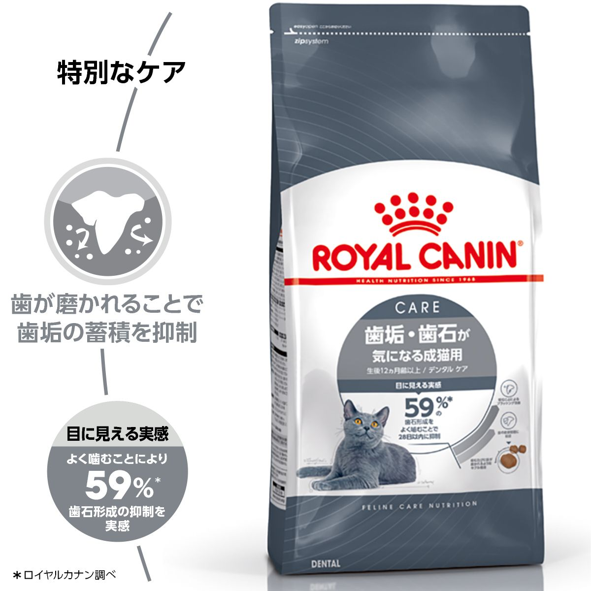 デンタル ケア（歯垢・歯石が気になる成猫用）