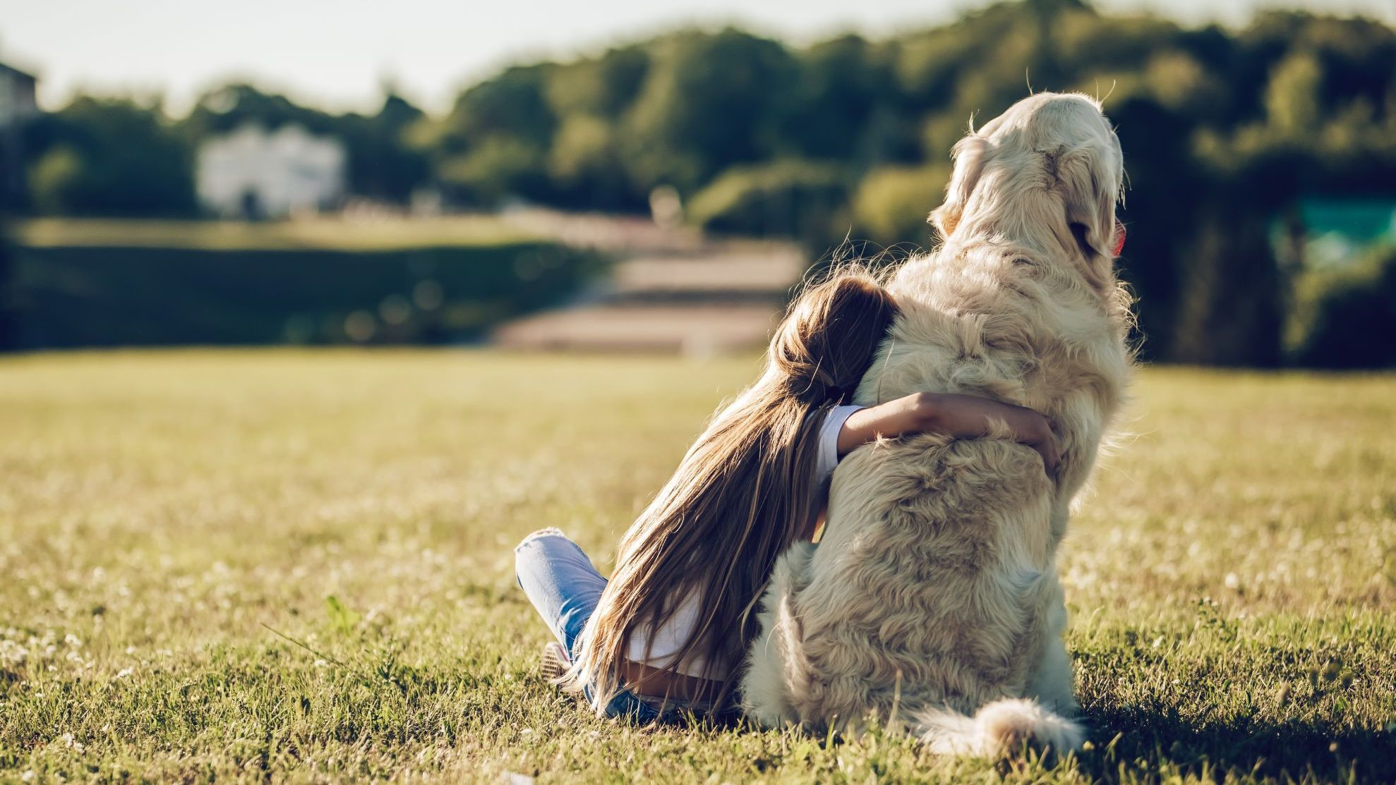 Little girl with golden retriever on a green grass.