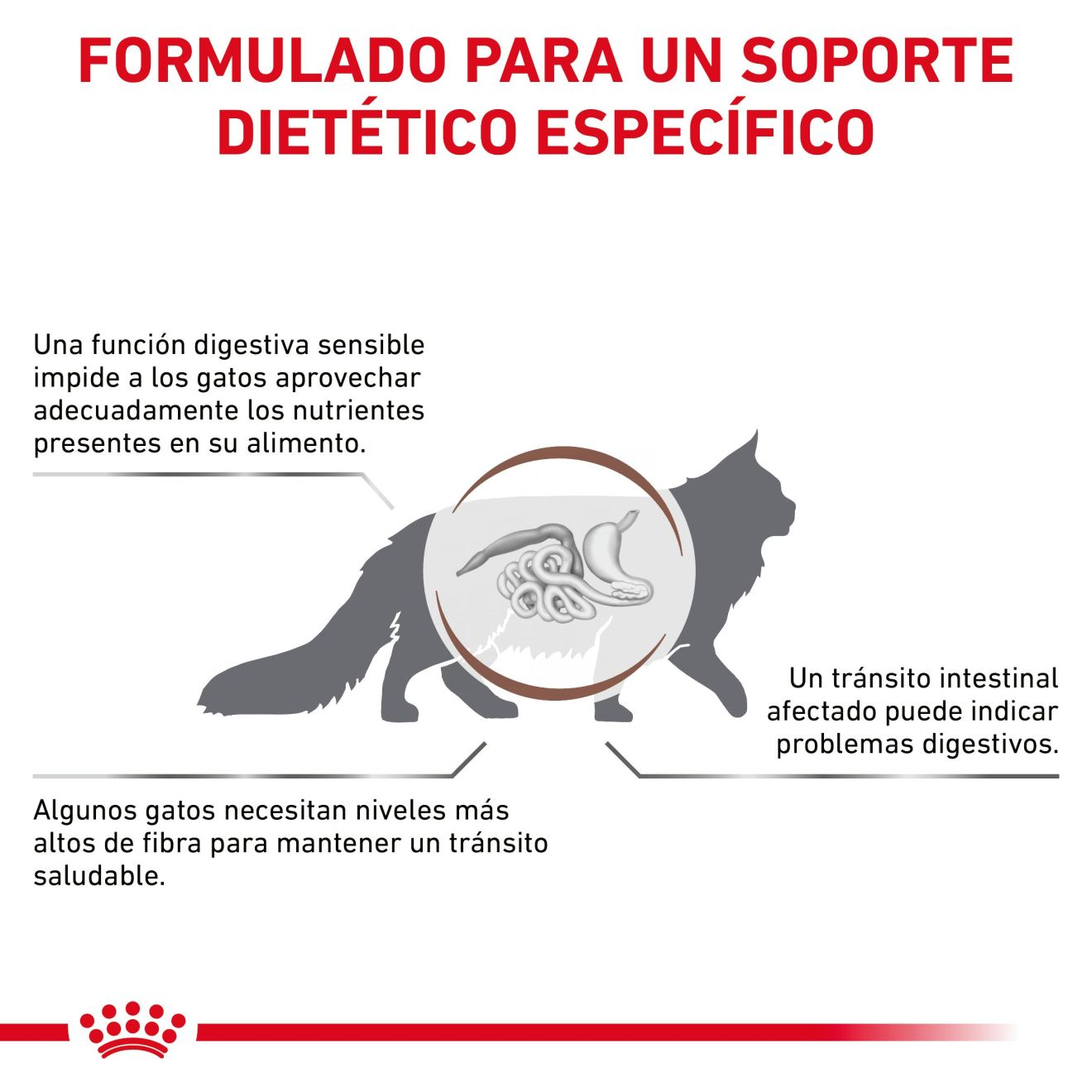 Gastrointestinal Fibre Response Royal Canin ES
