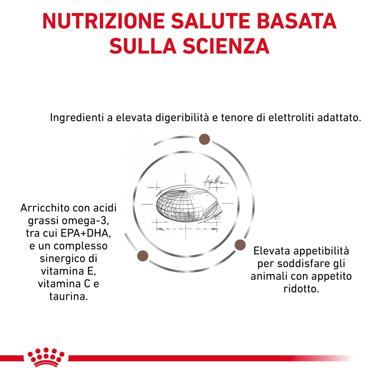 Gastrointestinal Moderate Calorie