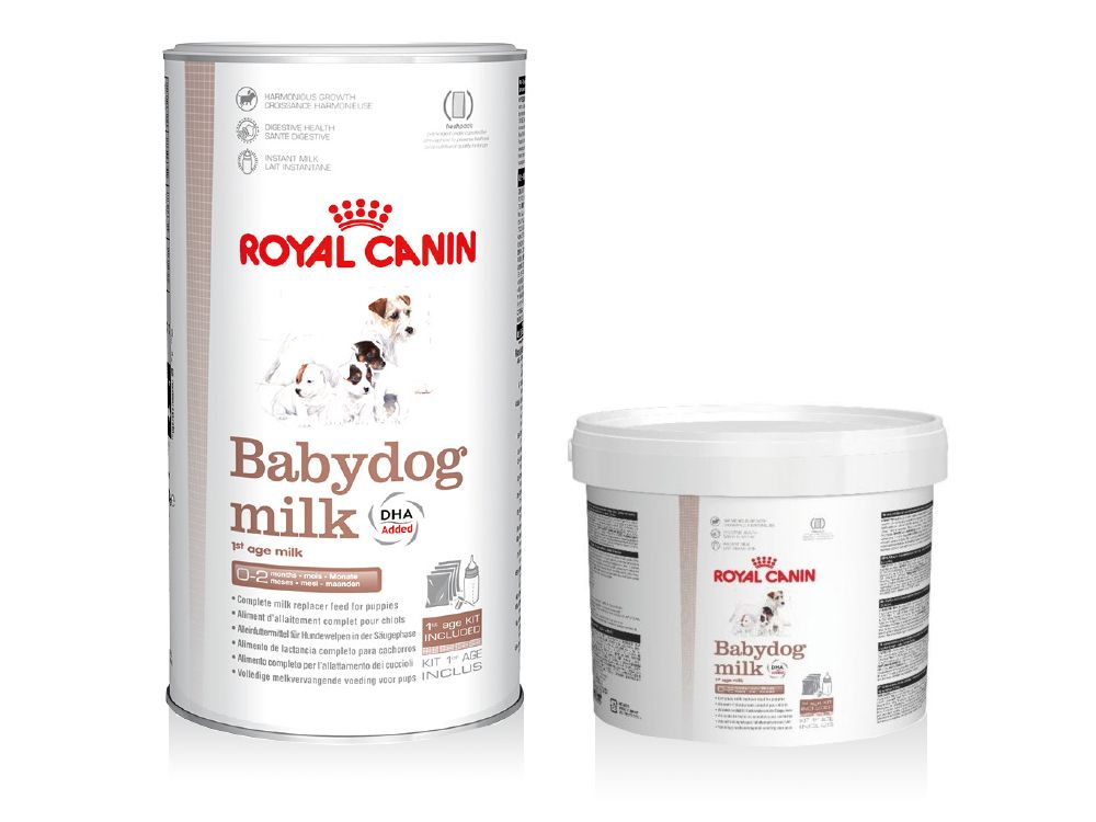 Babydog milk on sale