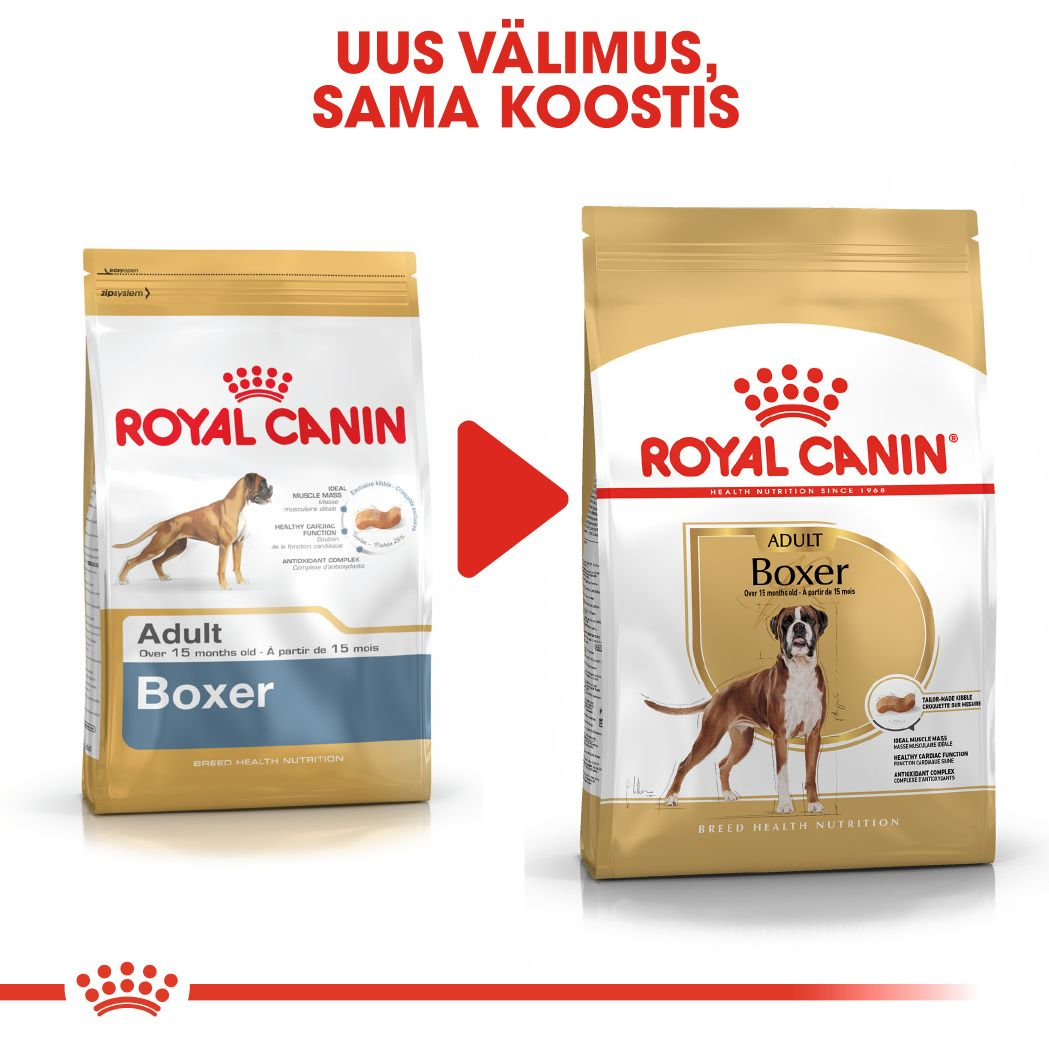 Royal Canin Boxer Adult kuivtoit