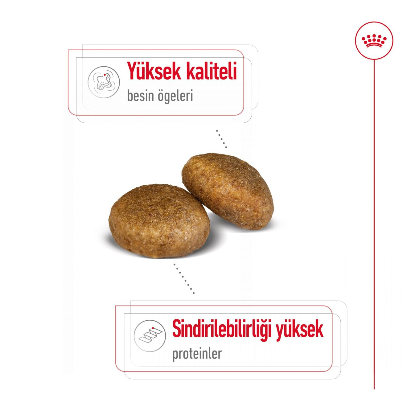 Maxi Adult Yetişkin Köpek Kuru Maması