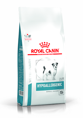 Hypoallergenic Small Dog