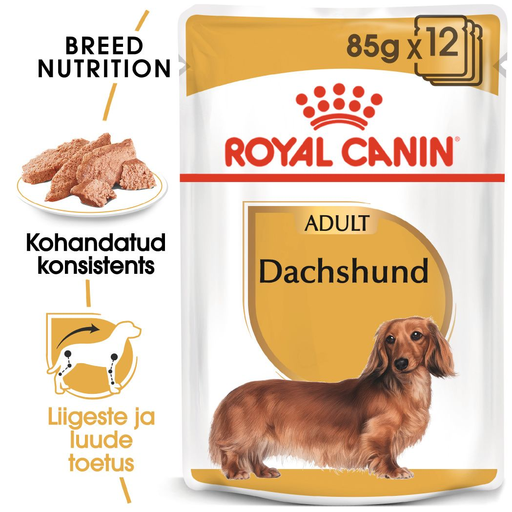 Royal Canin Dachshund Adult konserv