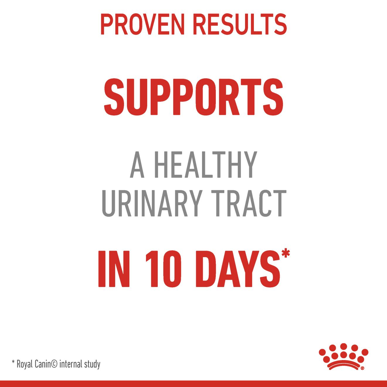 Urinary Care Dry Cat Food 