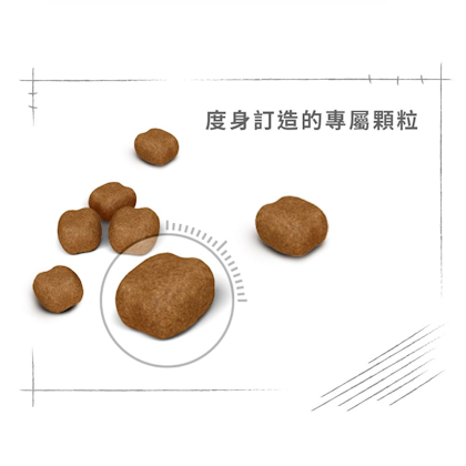 Royal-Canin_成年貓高效潔齒配方_正方形_HK_04