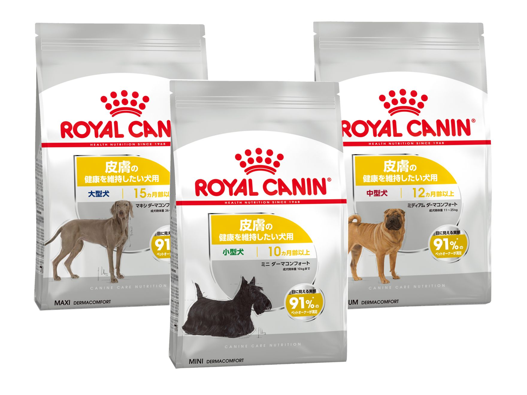 ダーマコンフォート - ドッグフード | Royal Canin JP