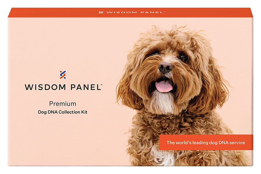 Wisdom panel dog product premium