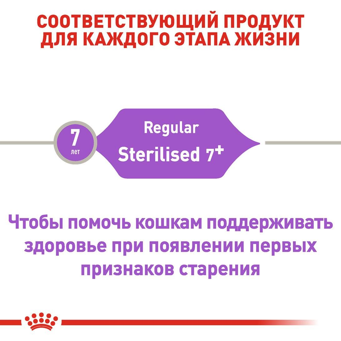 Sterilised 7+