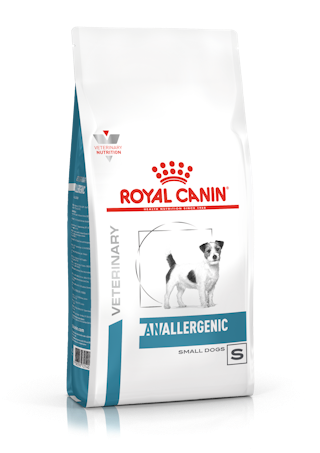 ANALLERGENIC SMALL DOGS