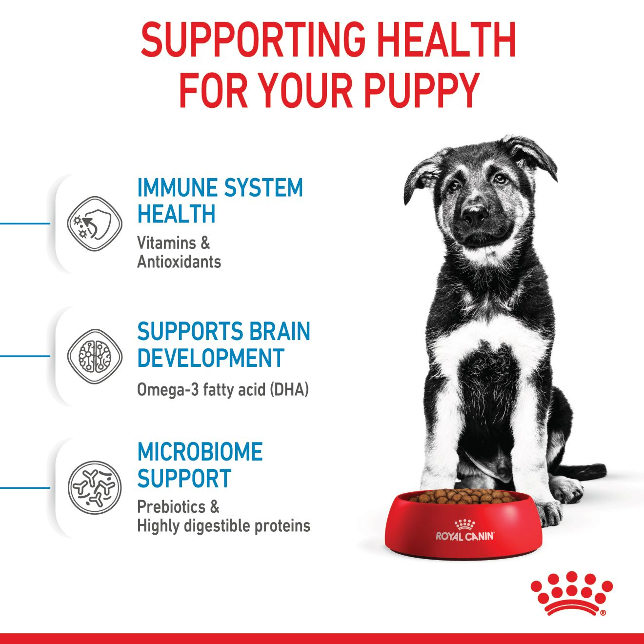 Royal canin outlet maxi puppy ingredients