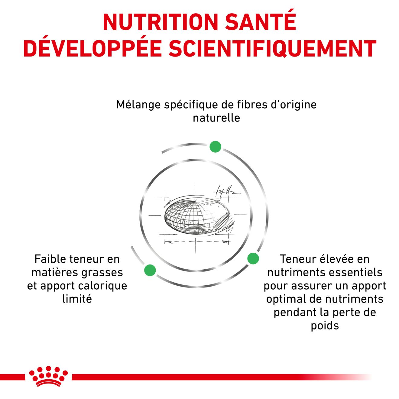 Satiety   Weight Management