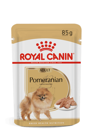 Pomeranian - Alimento úmido