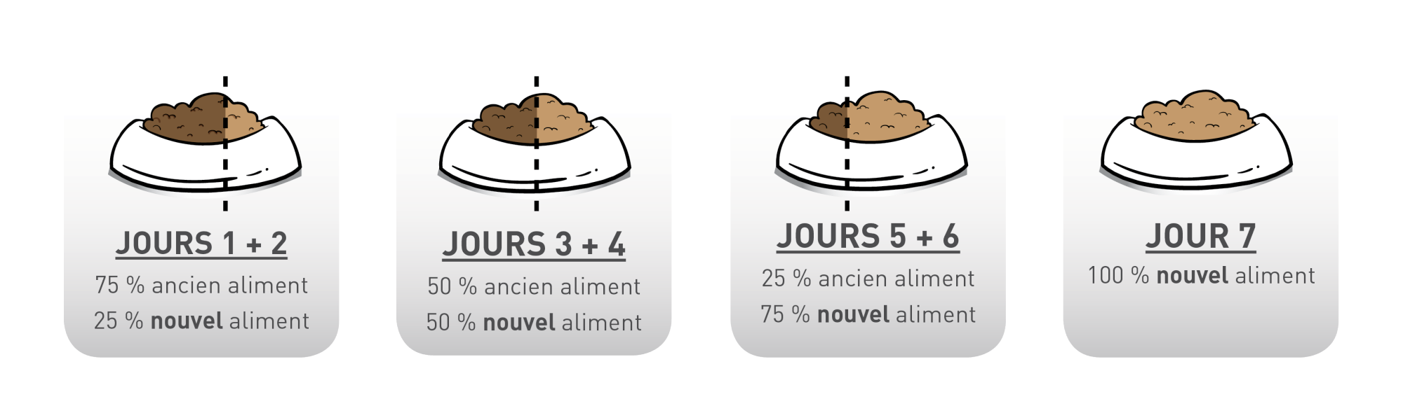 transition image Canada