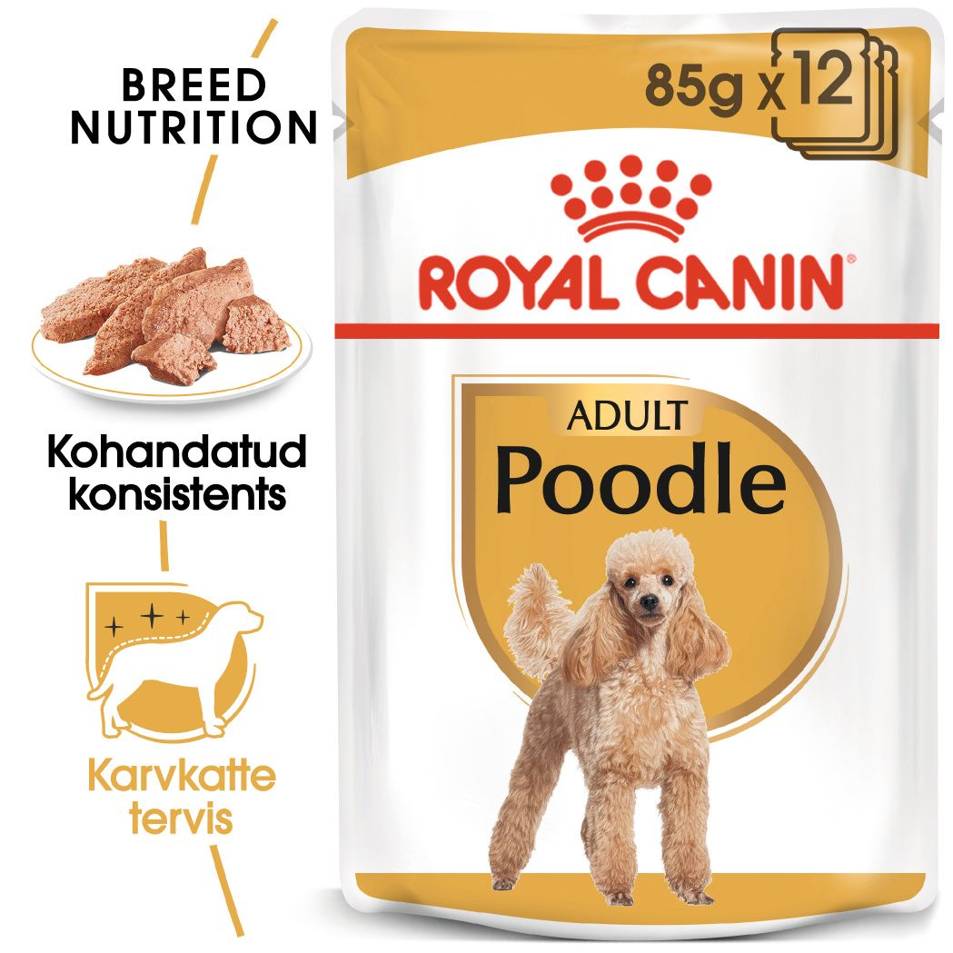 Royal Canin Poodle Adult konserv