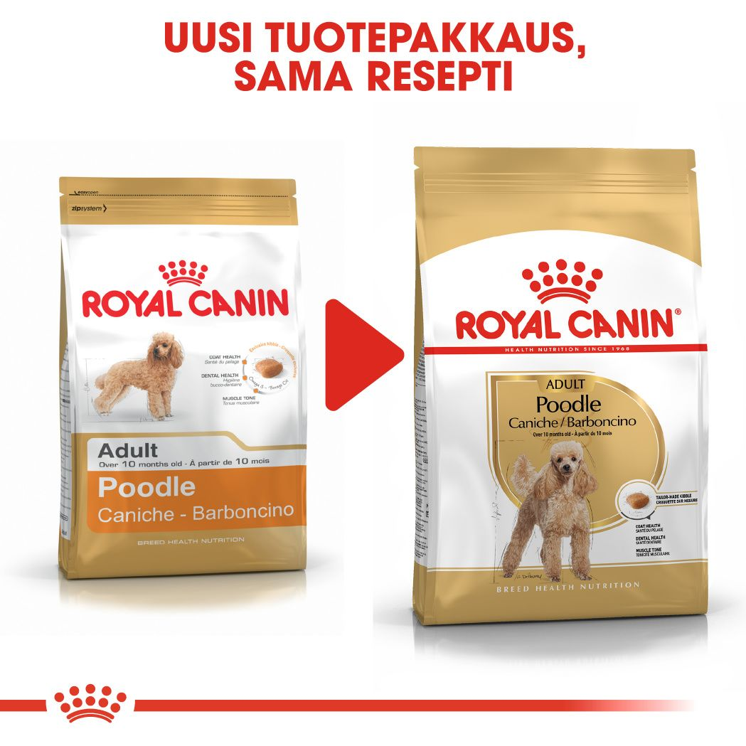 Poodle Adult dry | Royal Canin