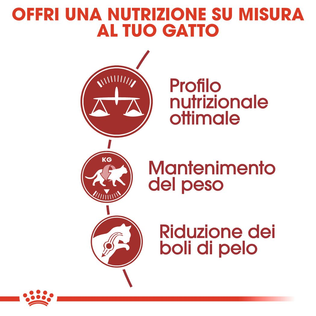 Fit 32 