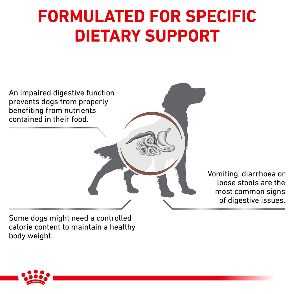 Royal canin gi outlet moderate calorie