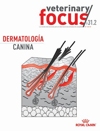 Dermatología canina