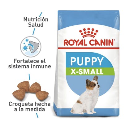 SHN X-Small Puppy Colombia 1