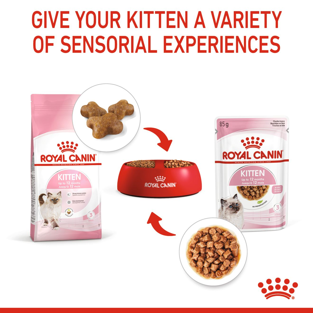 Royal canin kitten food how much to feed sale