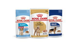 Alimento húmedo para perros