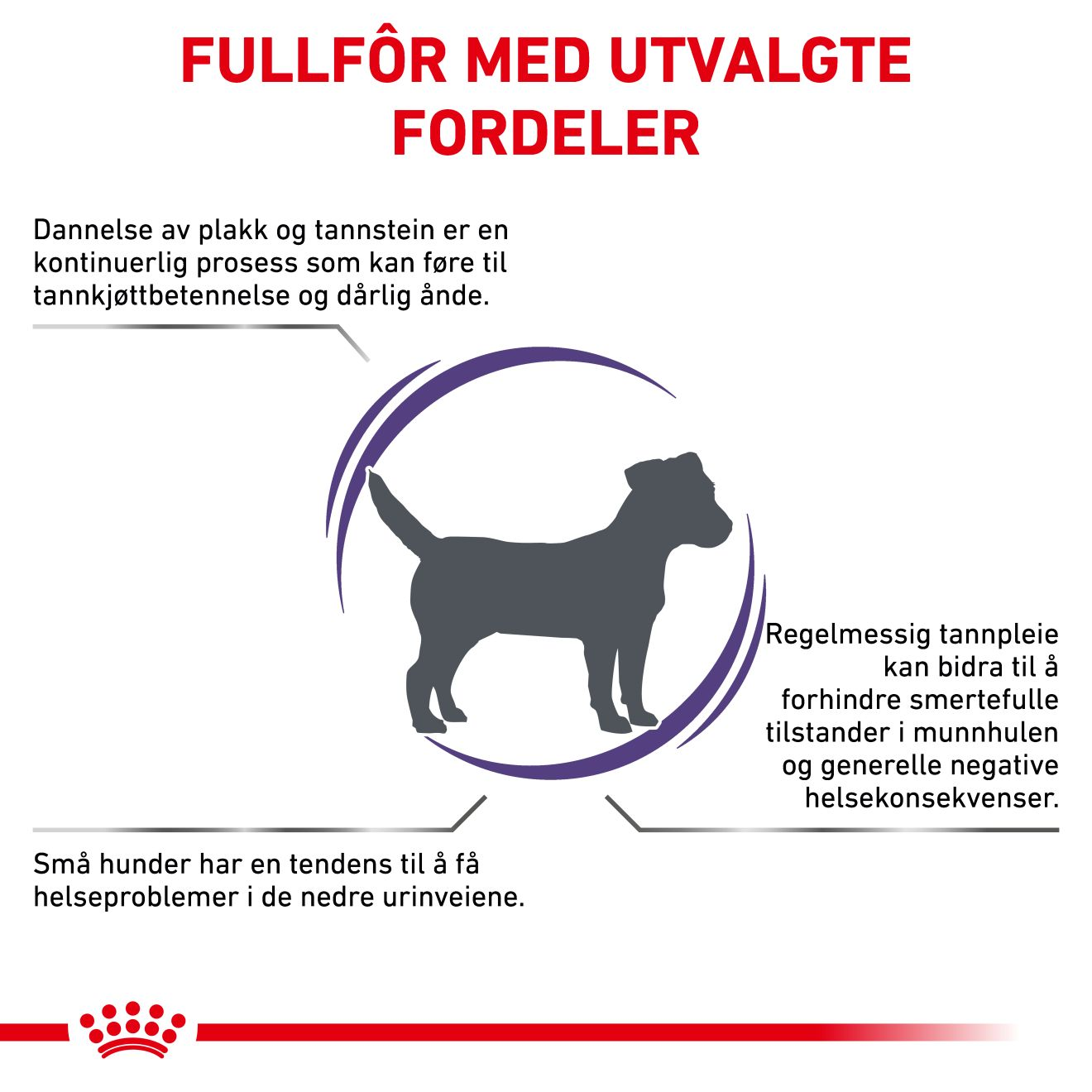 Health Dental Small Dog
