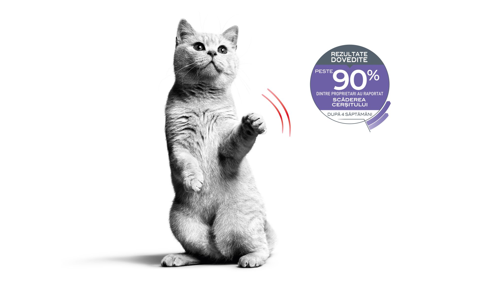 feline care emblematics