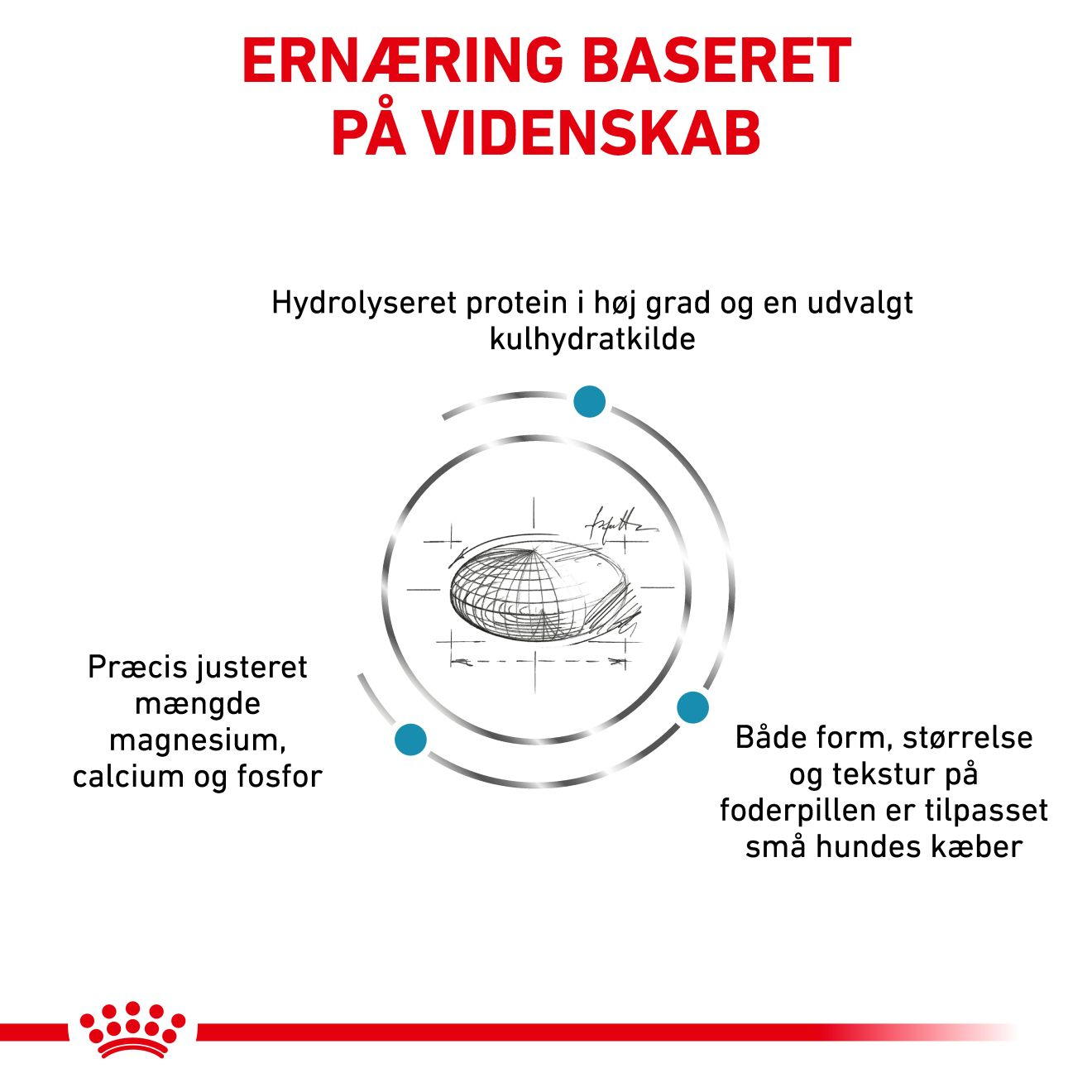 Derma Hypoallergenic Small Dog