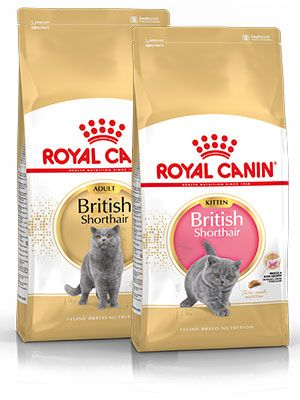 Royal canin best sale dna test cost