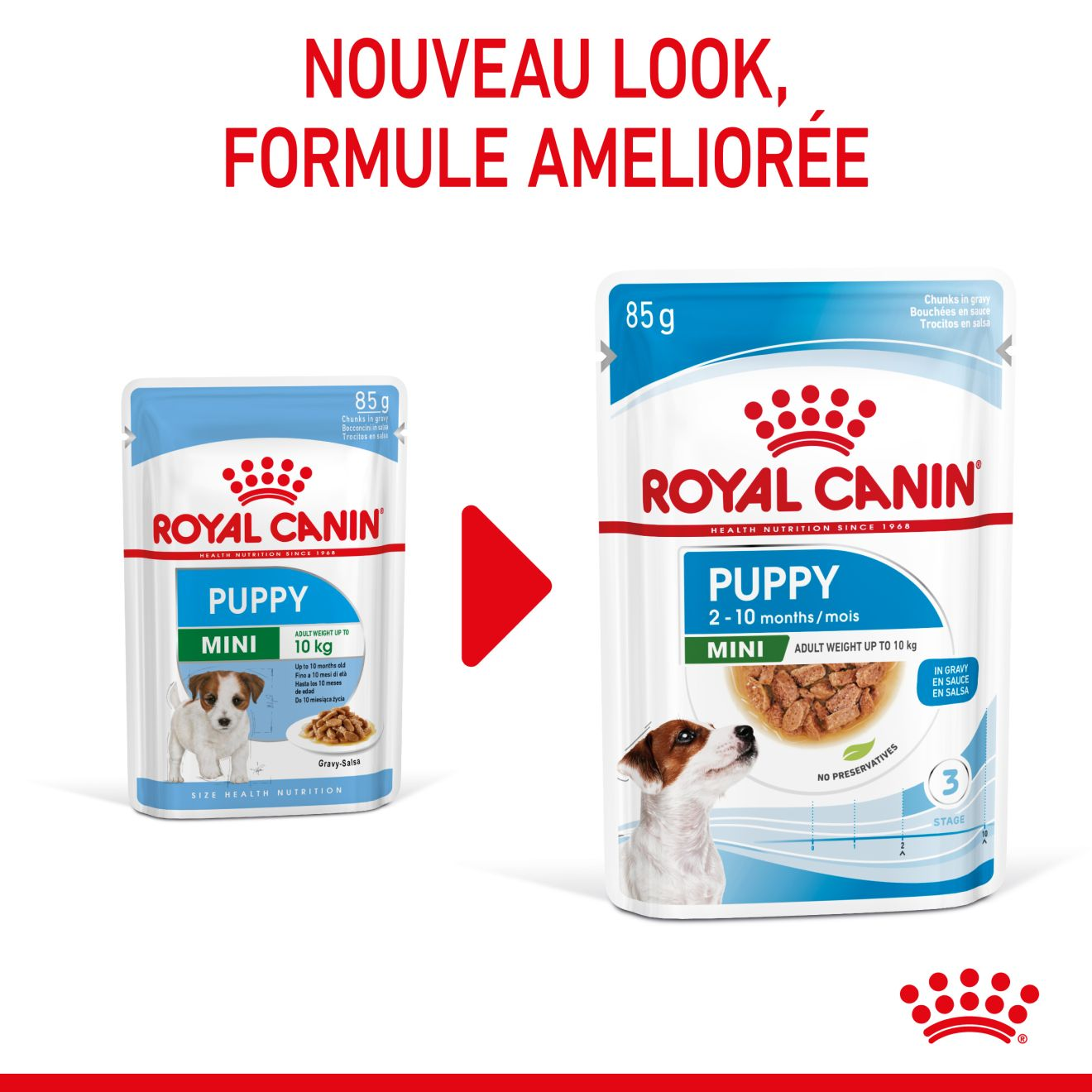 Royal canin sale mini puppy chiot