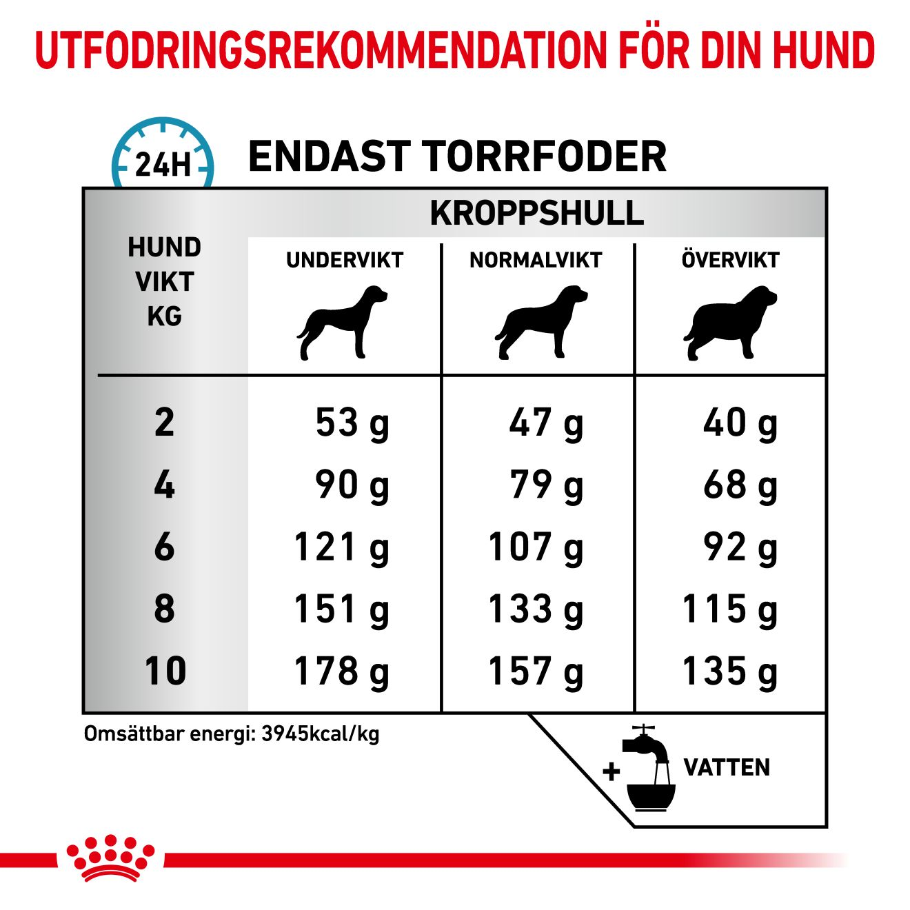 Derma Skin Care Small Dog