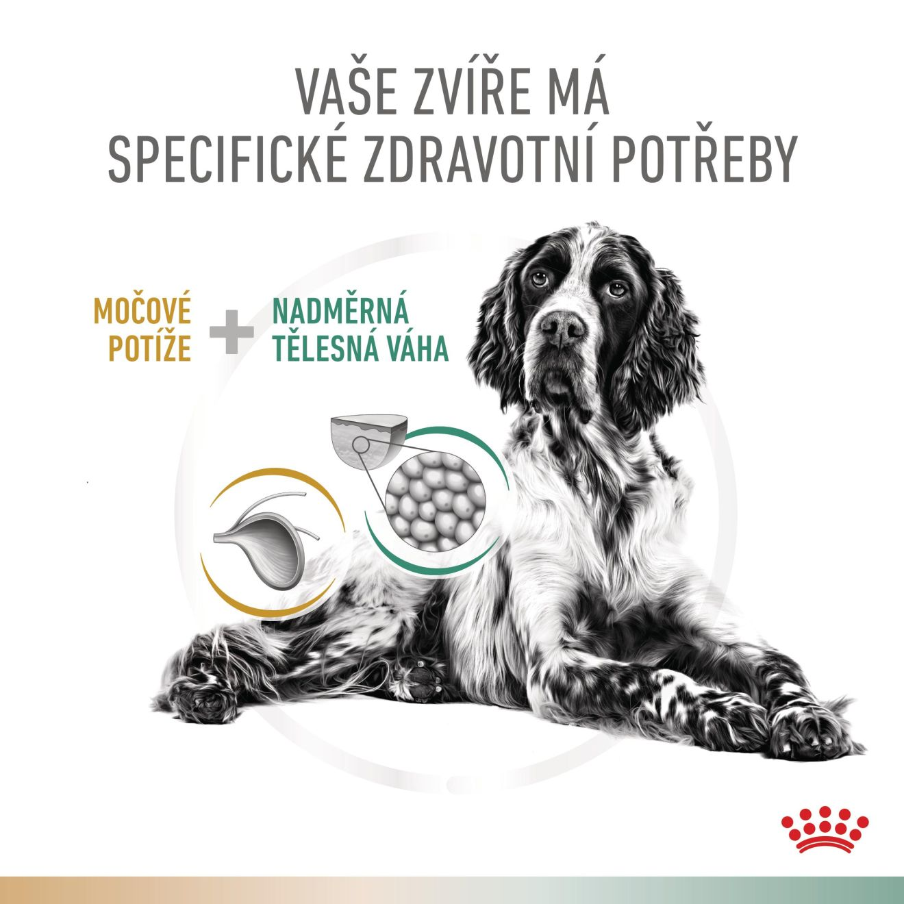 VHN Dog CA Urinary S/O-Satiety