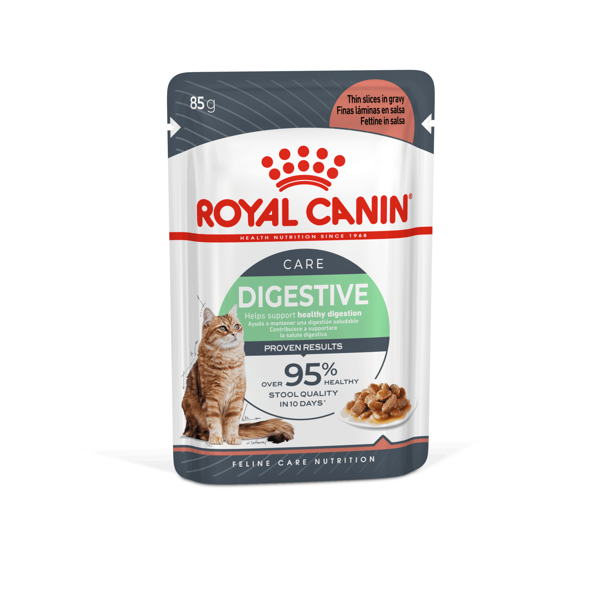 Digestive Care Gravy Adult wet Royal Canin
