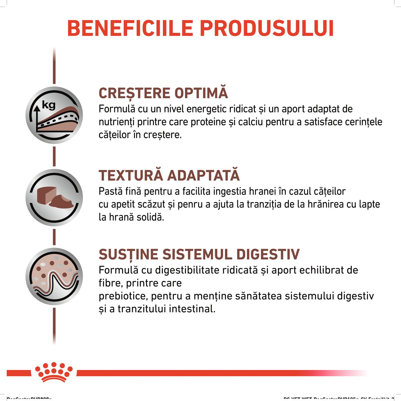 GASTROINTESTINAL PUPPY