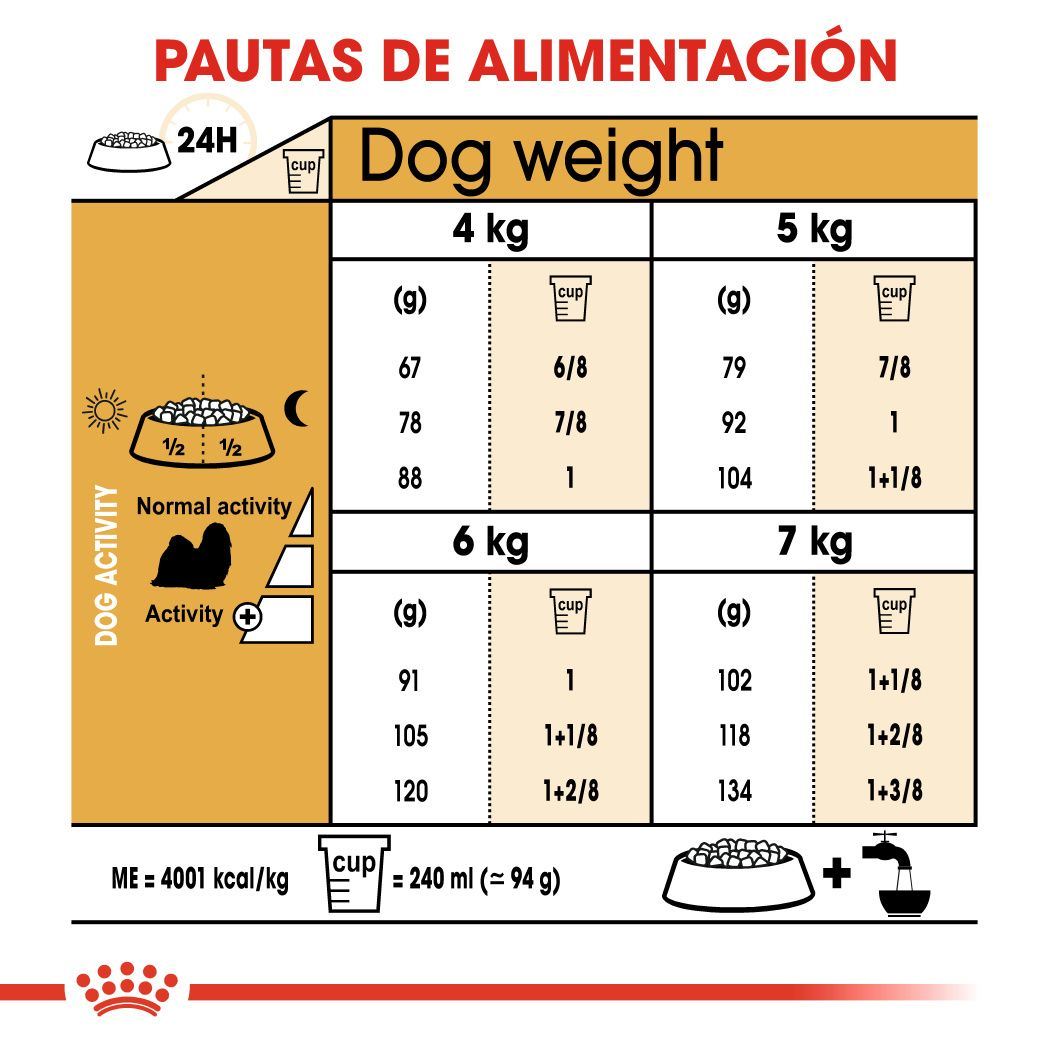 Shih Tzu Adult