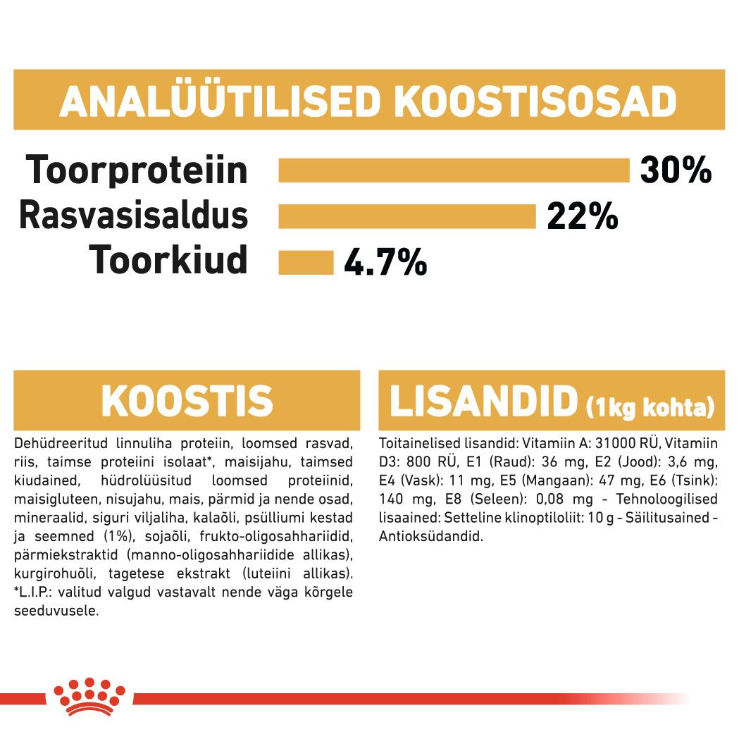 Royal Canin Persian Adult kuivtoit