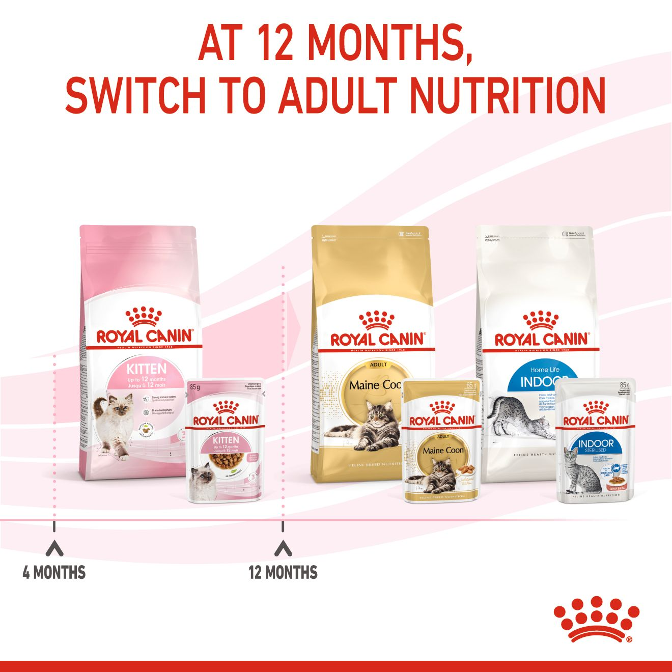 Royal canin how clearance much to feed kitten