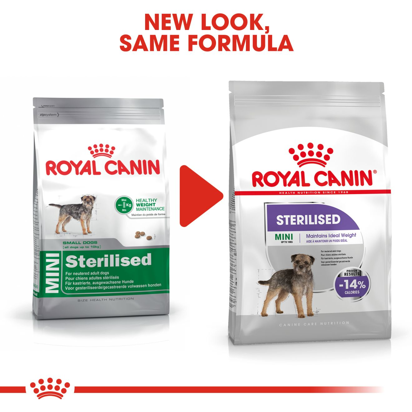 Royal canin mini 2025 sterilised 4 kg