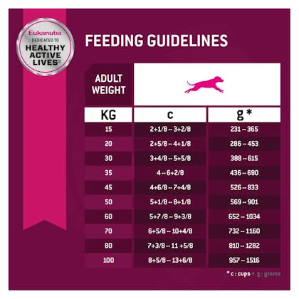 Eukanuba large breed puppy feeding chart best sale