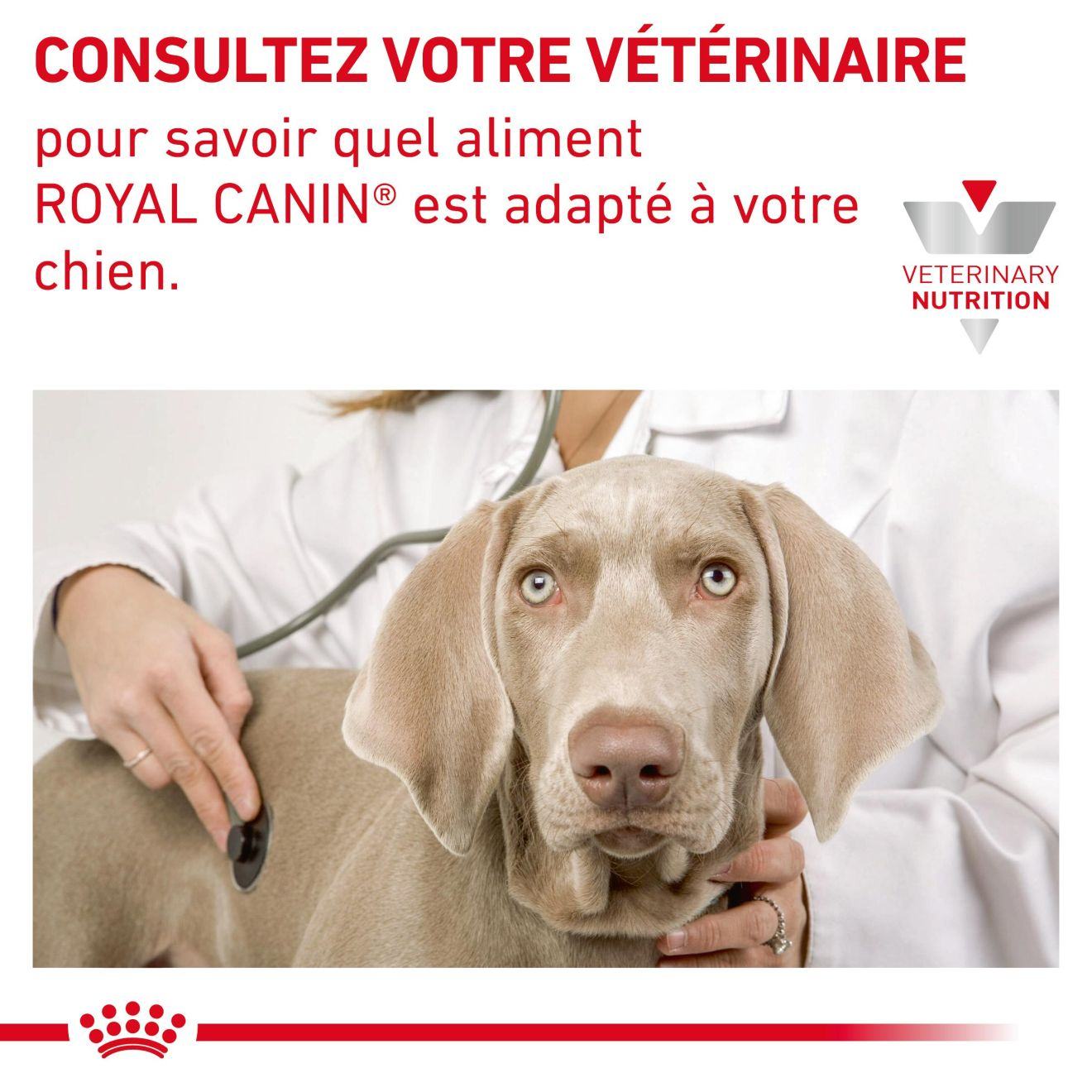 Sensitivity Control Canard au Riz