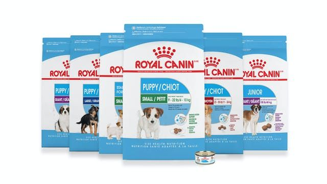 Royal Canin alimento para cachorros