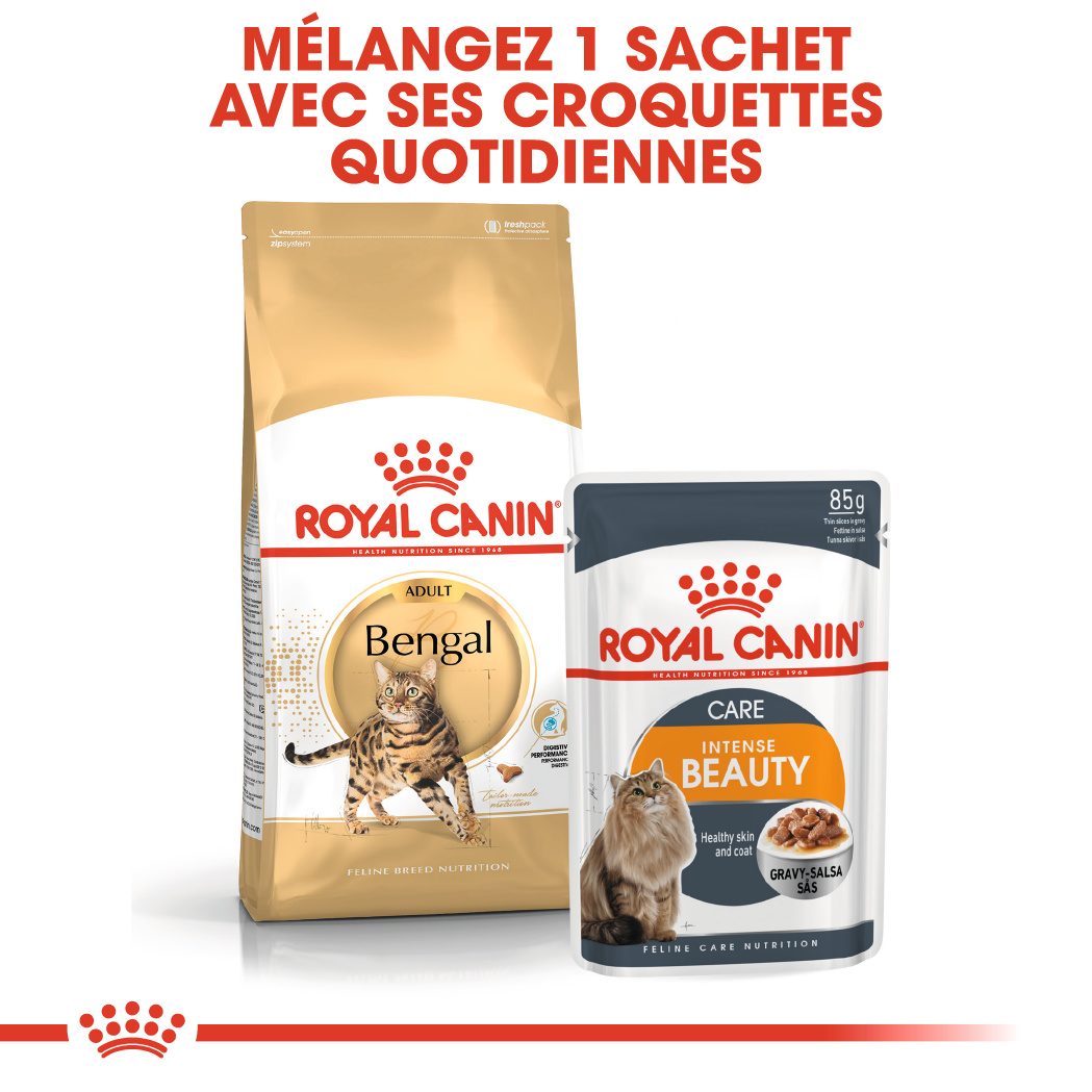 Bengal Adulte Aliment Sec Royal Canin