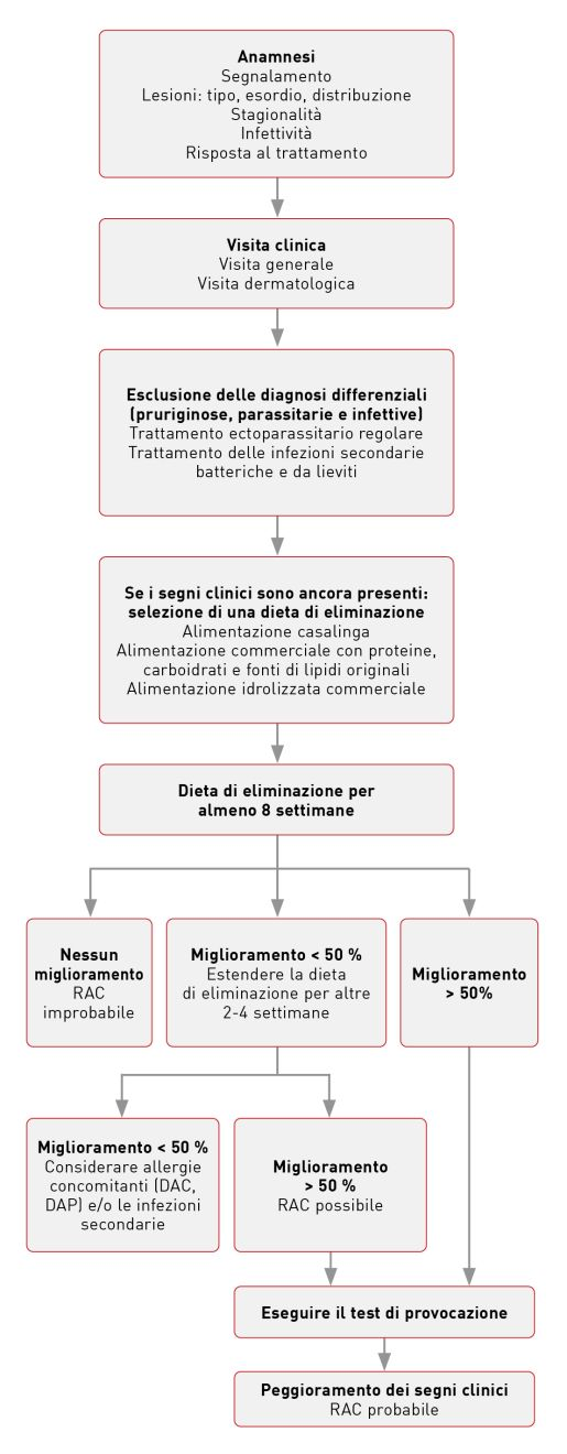 Diagramma schematico che mostra la diagnosi differenziale.