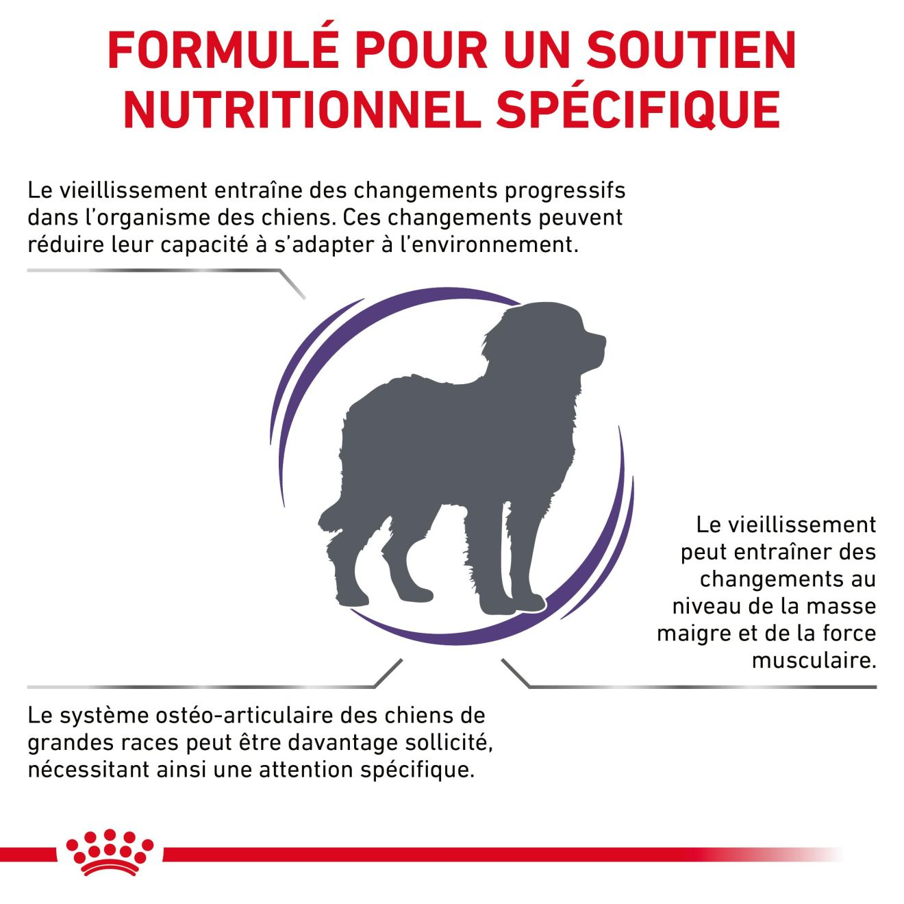 Mature Consult Large Dogs 