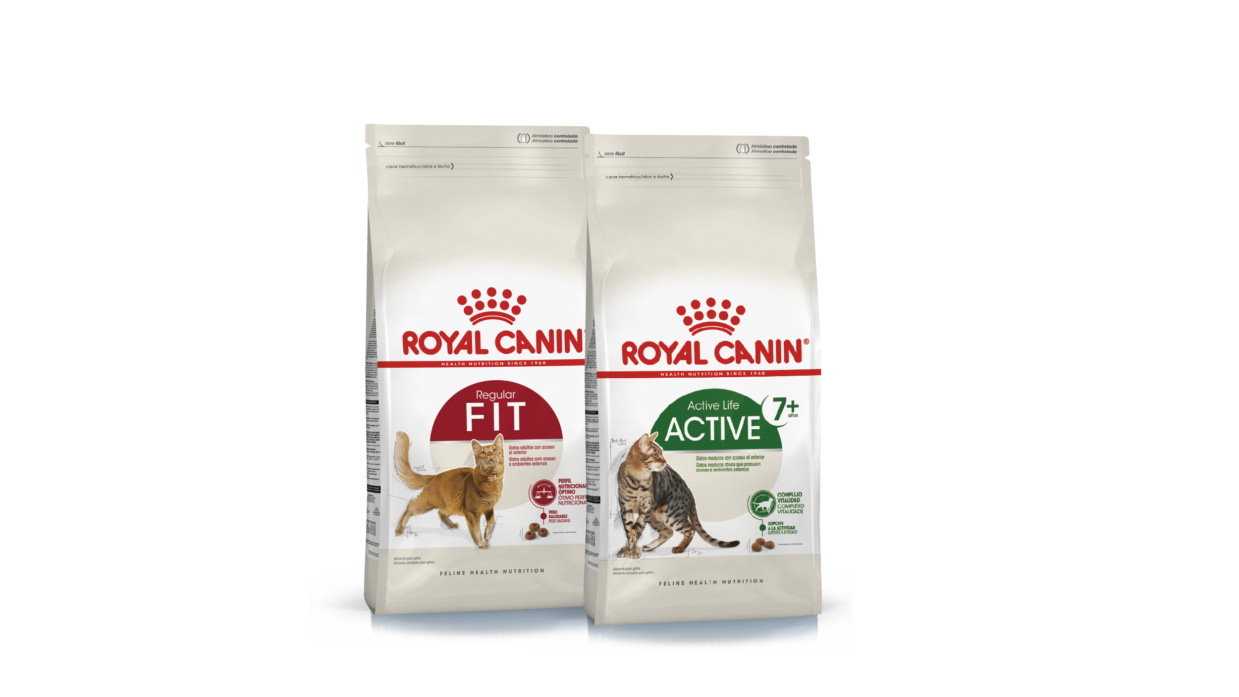 Productos para gatos de exterior